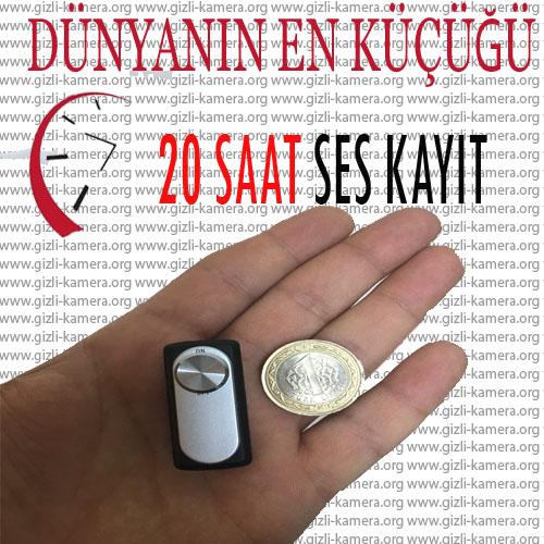 Dünyanın En Küçüğü Ses Kayıt